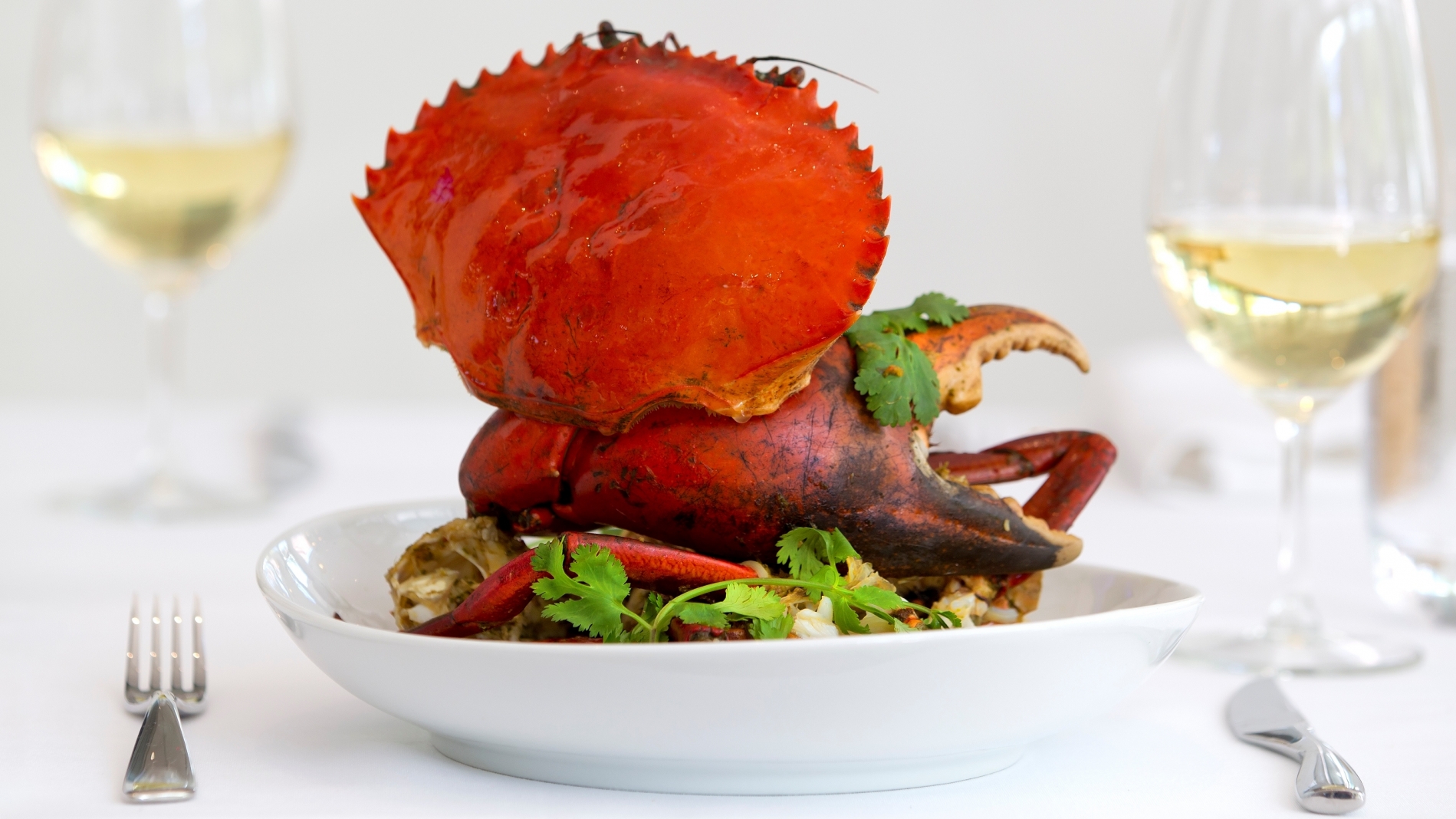 Mud crab
