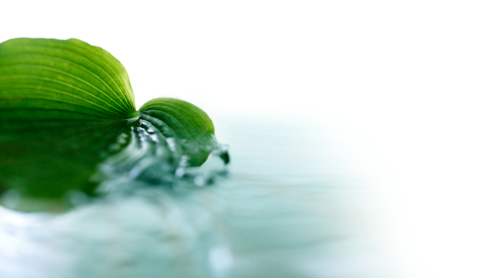 Welcome to the AQUA Day Spa